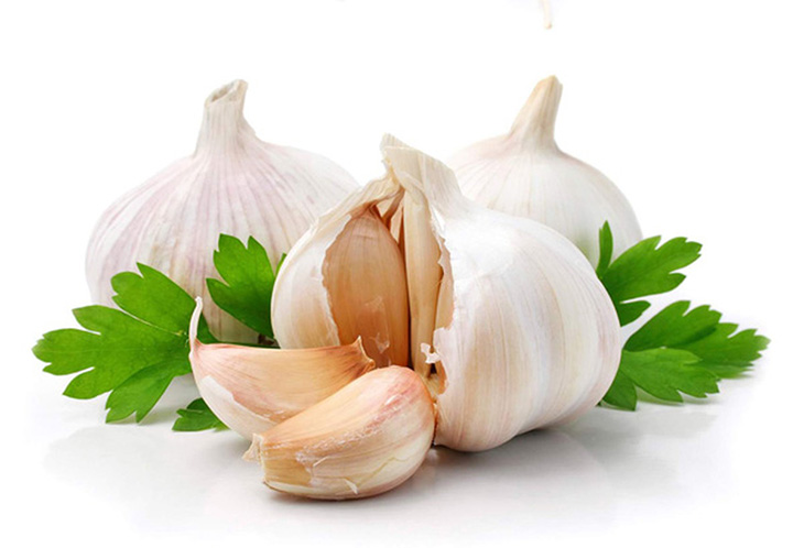 Tỏi có khả năng kháng khuẩn, tiêu viêm nên rất phù hợp khi điều trị viêm phế quản