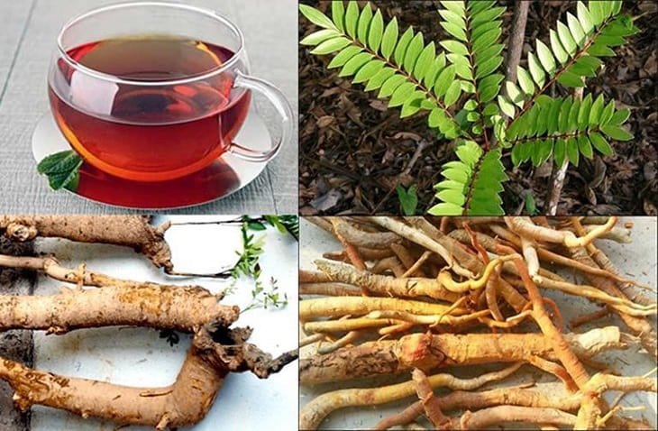 Chữa xuất tinh sớm bằng thuốc nam là hướng đi được nhiều quý ông lựa chọn Chữa xuất tinh sớm bằng thuốc nam là hướng đi được nhiều quý ông lựa chọn