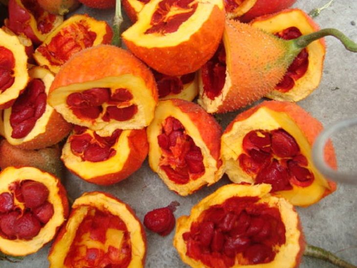Hạt gấc có tác dụng cầm máu, giảm ngứa, giảm sưng viêm