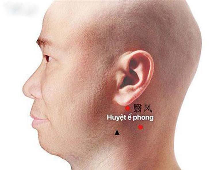 Huyệt ế phong có tác dụng làm thuyên giảm cảm giác đau nhức, làm khoang nhĩ thông thoáng Huyệt ế phong có tác dụng làm thuyên giảm cảm giác đau nhức, làm khoang nhĩ thông thoáng