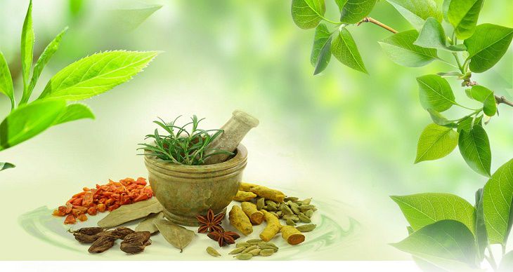 Thuốc Đông y trị nổi mẩn đỏ ở bao quy đầu