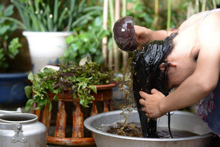 Dùng các thảo dược Đông y gội đầu để đẩy lùi các triệu chứng bệnh