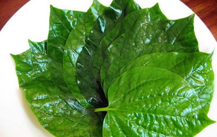 Dùng lá lốt chữa viêm xoang Dùng lá lốt chữa viêm xoang