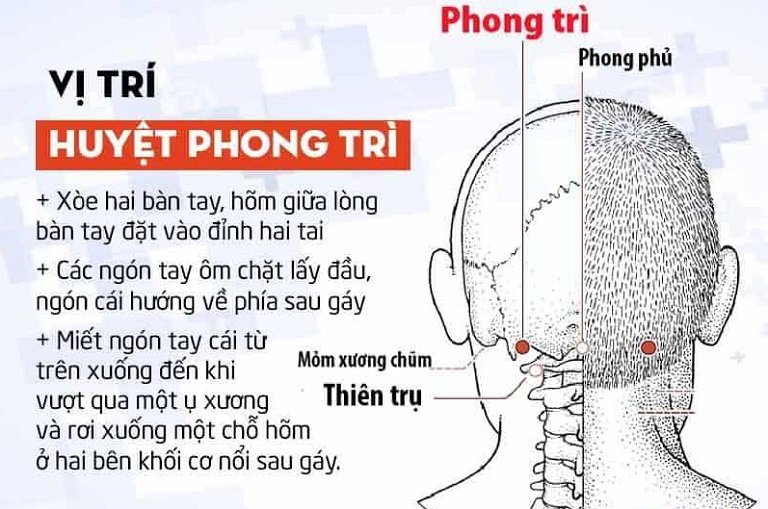Cách xác định vị trí huyệt phong trì