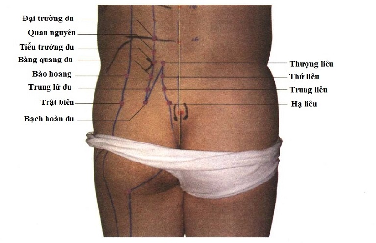 Vị trí huyệt đạo vùng cột sống thắt lưng