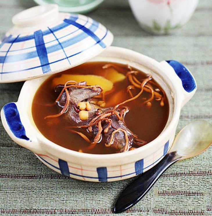 Đông trùng hạ thảo hỗ trợ điều trị một số chứng bệnh về xương khớp