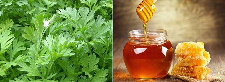 Hỗn hợp ngải cứu và mật ong giúp giảm viêm, phục hồi tổn thương do thoái hóa đốt sống cổ Hỗn hợp ngải cứu và mật ong giúp giảm viêm, phục hồi tổn thương do thoái hóa đốt sống cổ