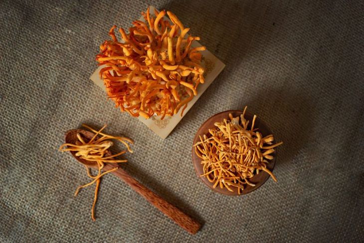 Đông trùng hạ thảo giá bao nhiêu tùy thuộc vào loại sản phẩm