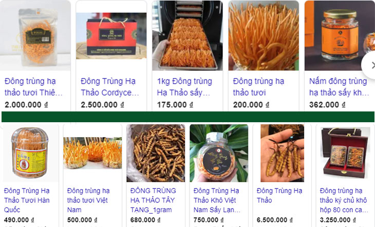 Thị trường giá đông trùng hạ thảo vô cùng đa dạng
