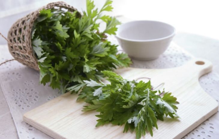 Rau ngải cứu có công dụng chữa rối loạn tiền đình hiệu quả