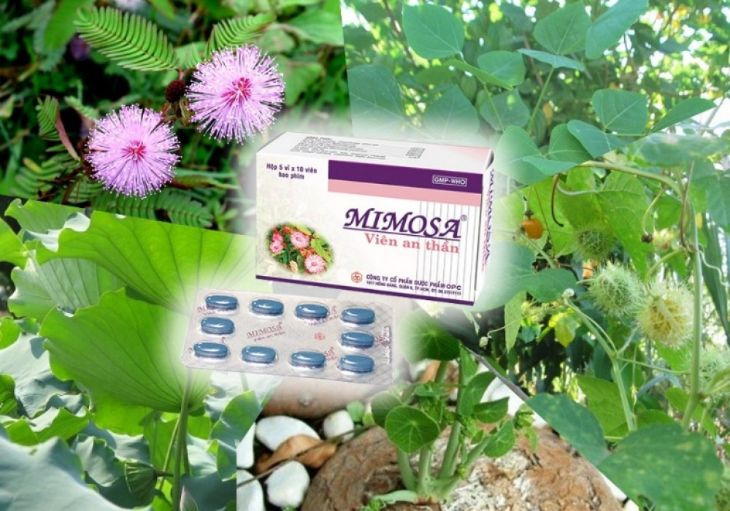 Thuốc an thần dễ ngủ Mimosa Thuốc an thần dễ ngủ Mimosa