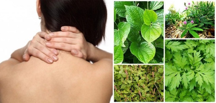 Chữa thoái hóa cột sống cổ bằng bài thuốc dân gian đem lại độ an toàn cao, hiệu quả lâu dài