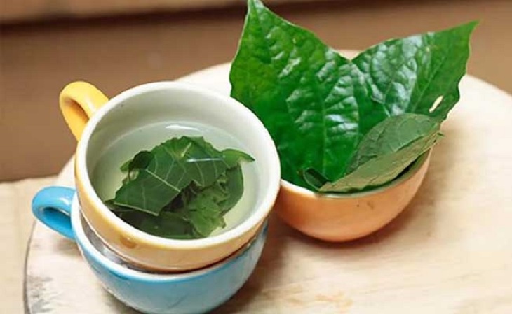 Bài thuốc sắc giúp hạ khí, tán hàn, chữa thoát vị đĩa đệm từ sâu bên trong