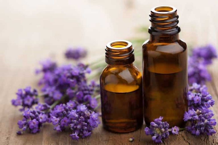 Tinh dầu oải hương là một trong những bài thuốc chữa đau đầu hiệu quả