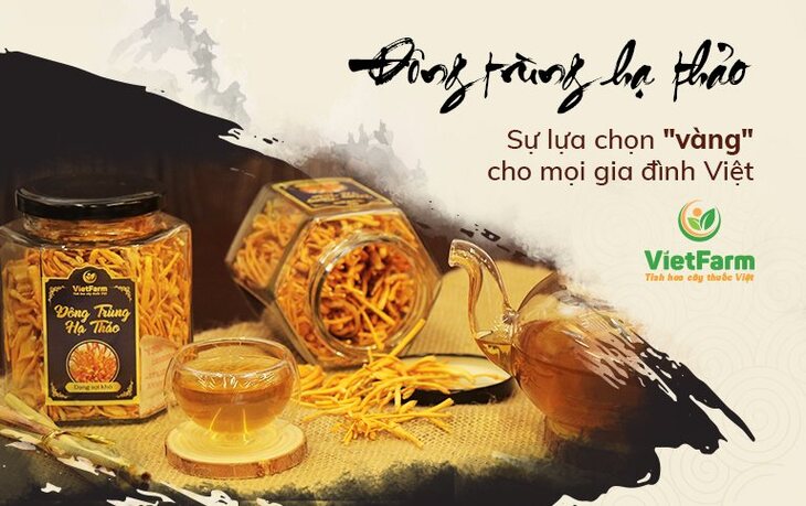 Sản phẩm đông trùng được Vietfarm sản xuất và bán ra thị trường