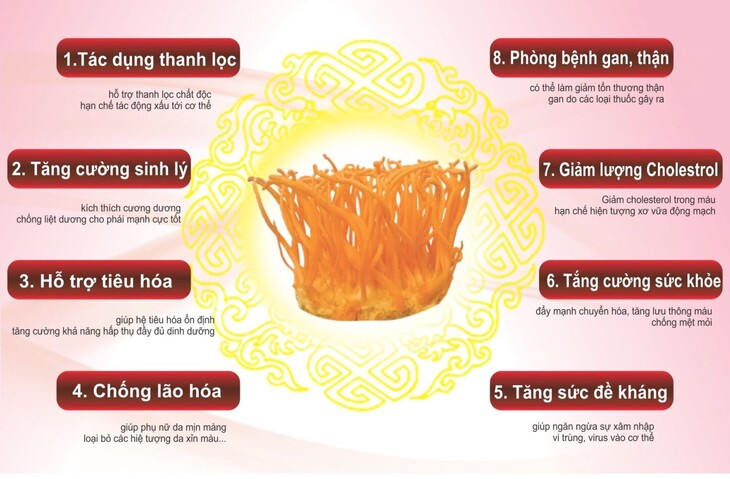 Cơ thể khỏe mạnh, giảm trừ nhiều bệnh tật nhờ có đông trùng