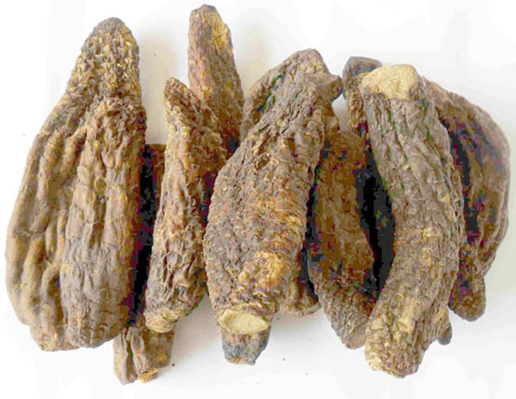 Nhục thung dung là vị thuốc quý cho sinh lý nam và nữ