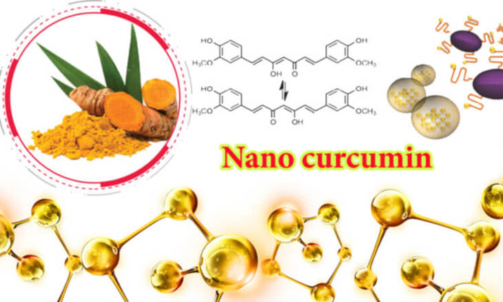 Tinh bột nghệ nano curcumin với kích thước nhỏ dễ dàng đi qua màng sinh học và được hấp thụ nhanh hơn Tinh bột nghệ nano curcumin với kích thước nhỏ dễ dàng đi qua màng sinh học và được hấp thụ nhanh hơn