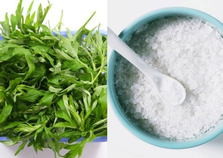 Bài thuốc trị tê tay với ngải cứu trắng và muối hột