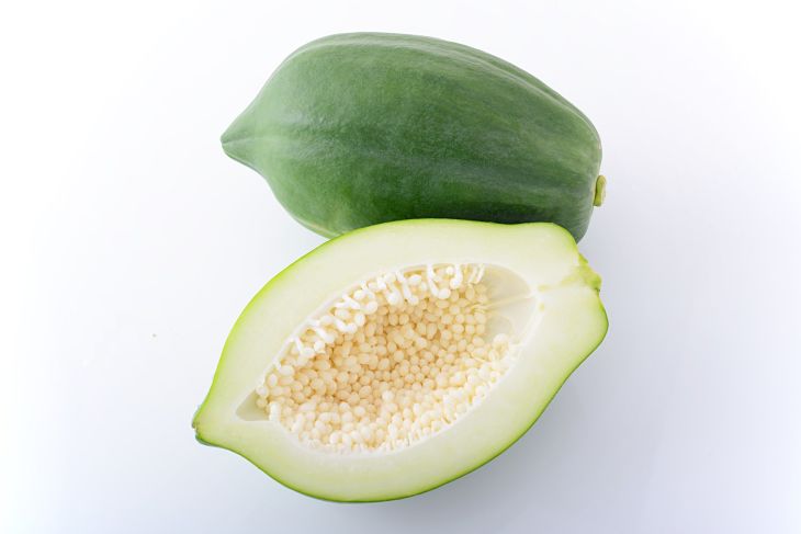 Đu đủ xanh có tác dụng kháng khuẩn, làm dịu các cơn đau nhức xương khớp Đu đủ xanh có tác dụng kháng khuẩn, làm dịu các cơn đau nhức xương khớp