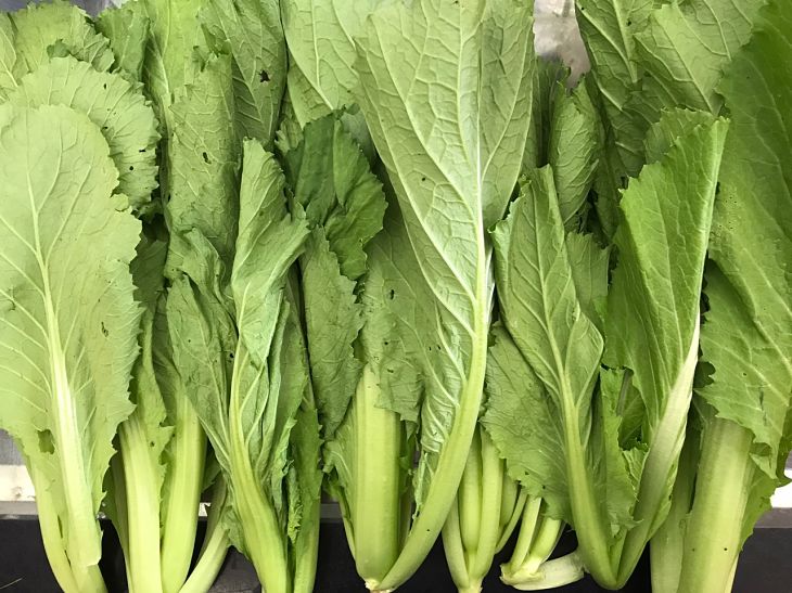 Cải bẹ xanh có tác dụng hỗ trợ điều trị bệnh gout hiệu quả Cải bẹ xanh có tác dụng hỗ trợ điều trị bệnh gout hiệu quả