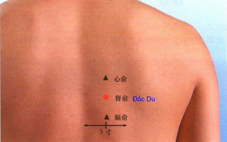 Cần xác định chính xác vị trí của huyệt để đảm bảo đạt hiệu quả và an toàn cho sức khỏe