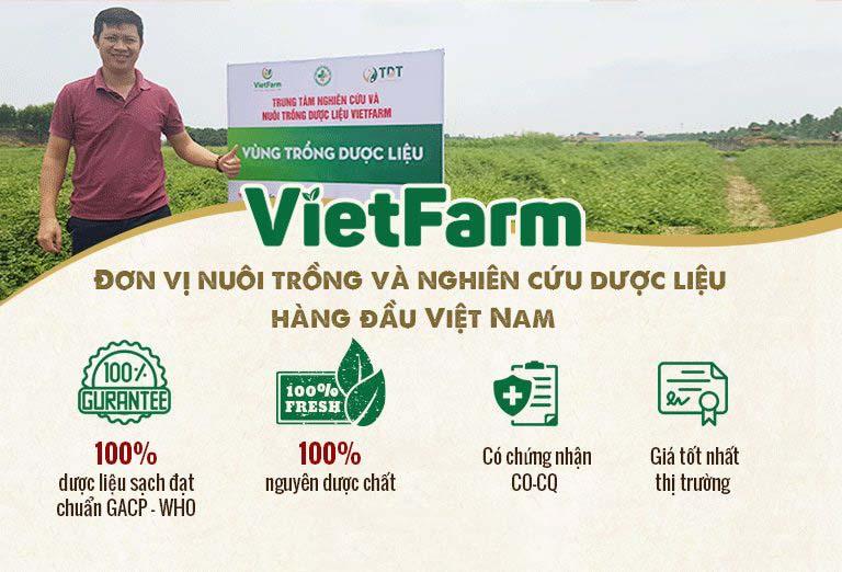 Vườn trồng dược liệu đạt chuẩn GACP - WHO