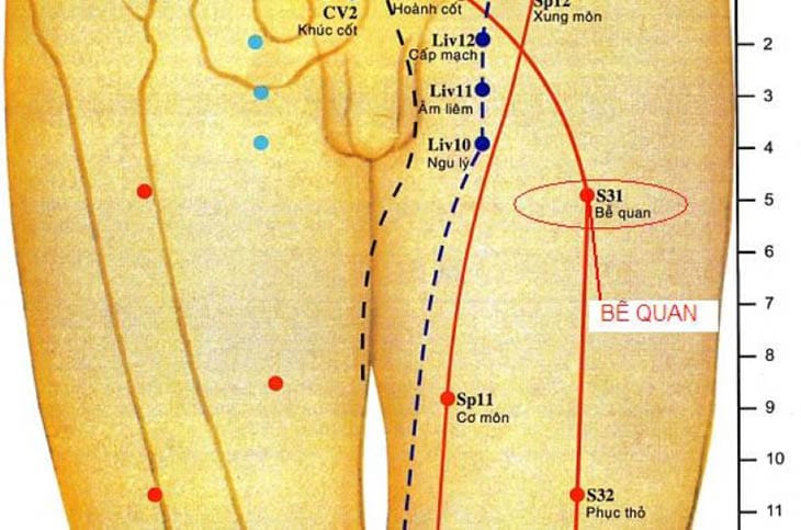 Hướng dẫn cách phối hợp các vùng để châm cứu, bấm huyệt.