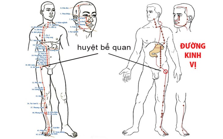 Vị trí của huyệt bể quan