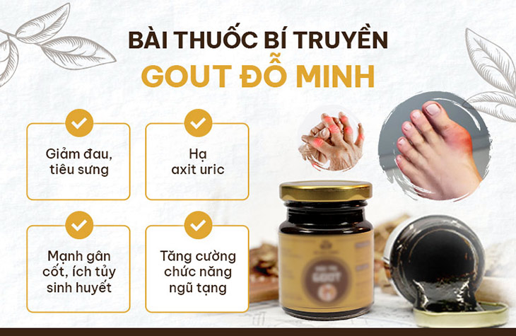 Cơ chế bài thuốc chữa gout của Đỗ Minh Đường