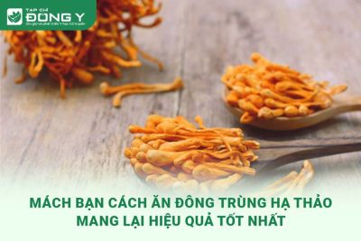 cach-an-dong-trung-ha-thao