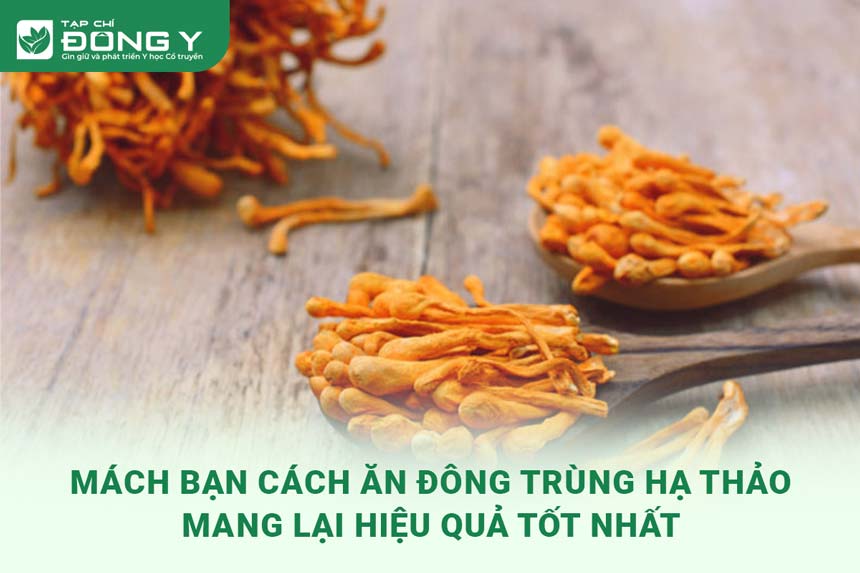 cach-an-dong-trung-ha-thao