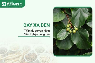 cay-xa-den