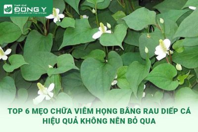 chua-viem-hong-bang-rau-diep-ca