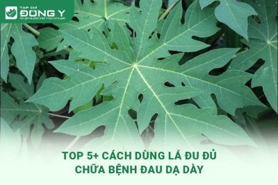 la-du-du-chua-benh-dau-da-day