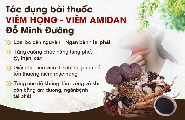 Tác dụng bài thuốc chữa viêm amidan Đỗ Minh Đường