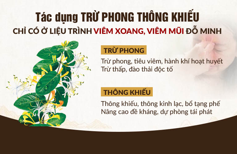 Cơ chế tác động bài thuốc chữa viêm xoang - viêm mũi dị ứng Đỗ Minh Đường