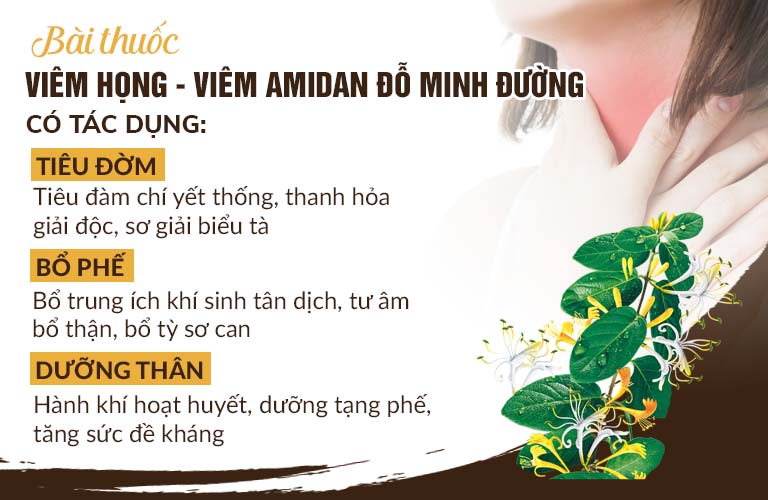 Cơ chế bài thuốc chữa viêm họng - viêm amidan Đỗ Minh Đường