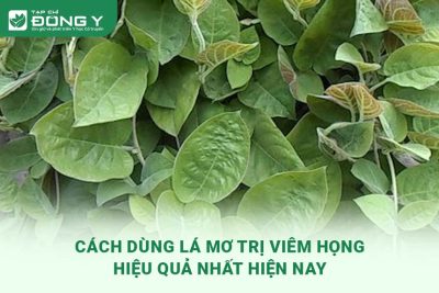 la-mo-tri-viem-hong