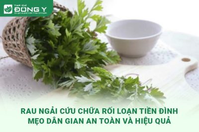 rau-ngai-cuu-chua-roi-loan-tien-dinh
