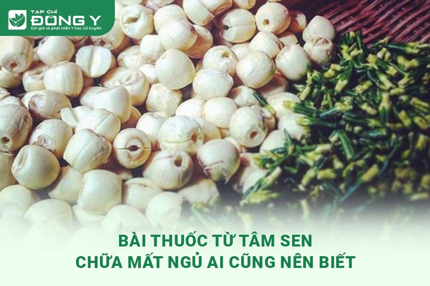 tam-sen-chua-mat-ngu