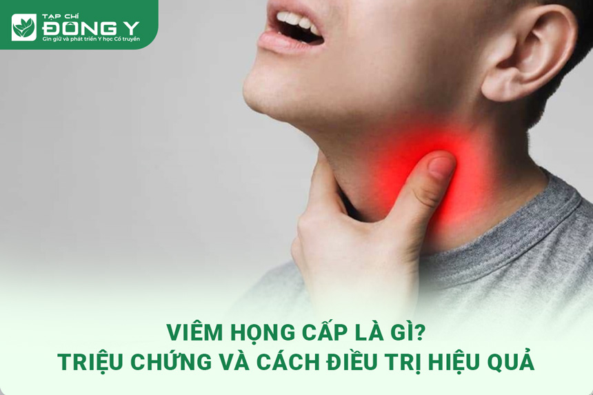 viem-hong-cap