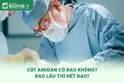 cat-amidan-co-dau-khong