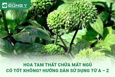 hoa-tam-that-chua-mat-ngu
