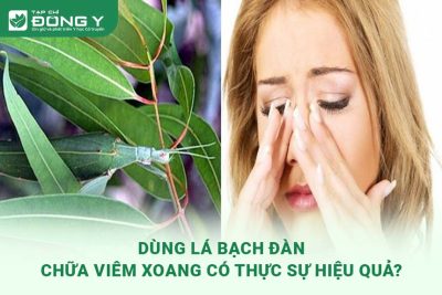 la-bach-dan-chua-viem-xoang