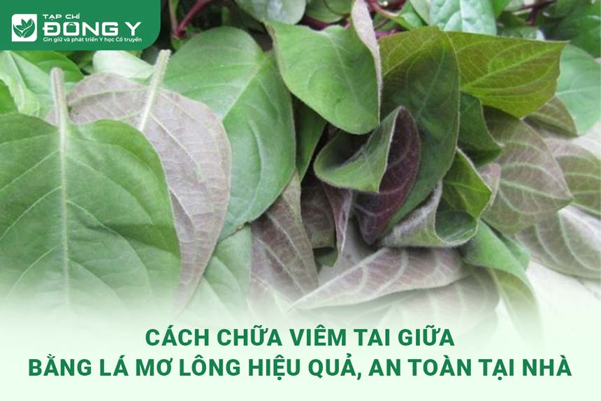 chua-viem-tai-giua-bang-la-mo-long