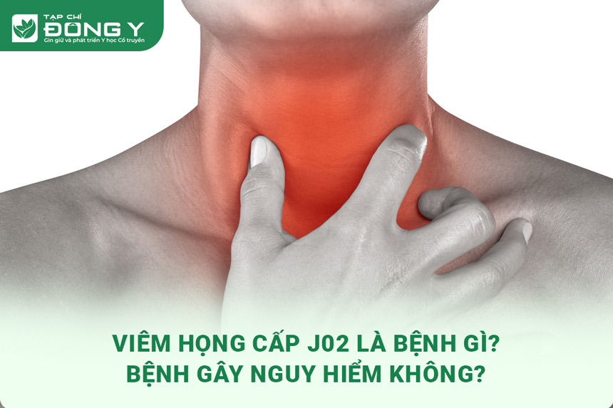 viem-hong-cap-j02