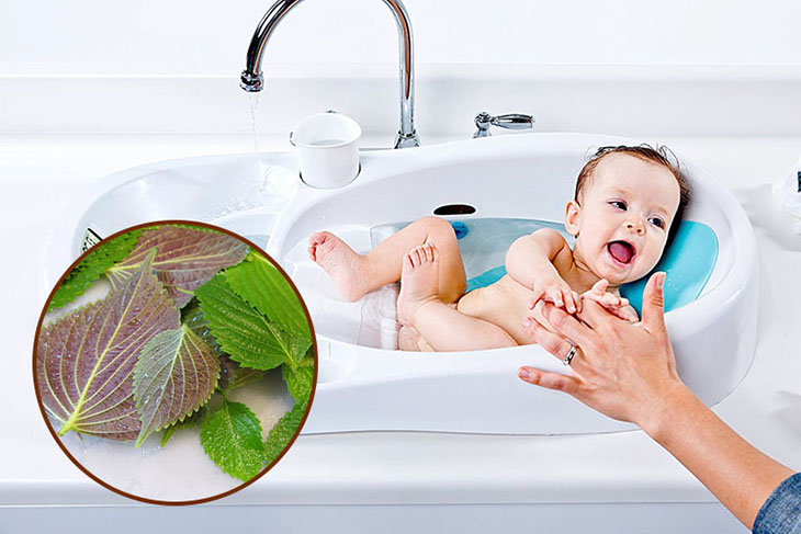 Dùng lá tía tô để đun nước tắm hàng ngày
