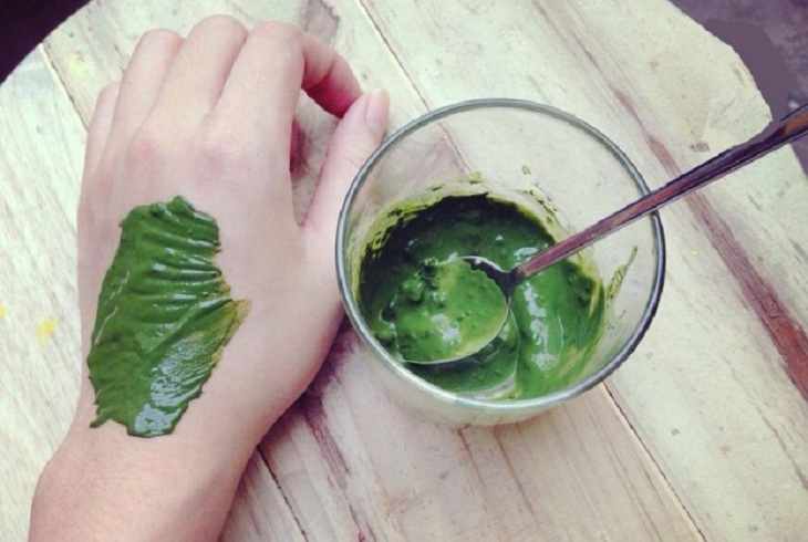 Đắp lá lốt lên vùng da bệnh