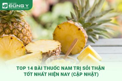 bai-thuoc-nam-tri-soi-than